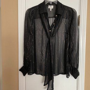 milly sheer long sleeve blouse